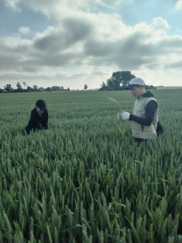 photo_2024-06-04_16-31-34