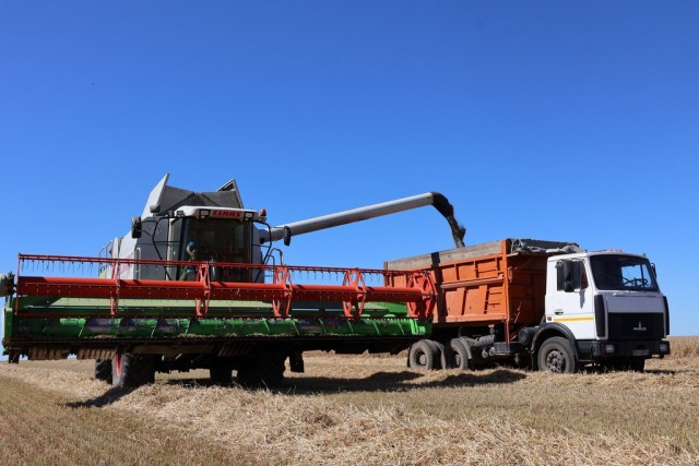 photo_2025-07-02_14-13-37 (3)