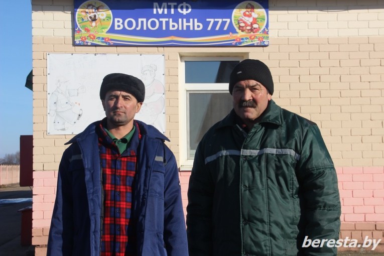 В Беларусь — за стабильностью, заработком, комфортом. Рассказываем, как живут и работают трудовые мигранты на Берестовитчине